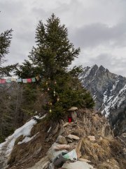 This picture was taken in march 2015. It was taken on Rote Platte Chur Graubünden Switzerland. This picture was taken in march 2015. It was taken on Rote Platte Chur Graubünden Switzerland.