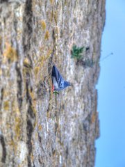 Visby Gotland Sweden Visby Gotland Sweden