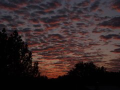 This picture was taken in 2009 in Markdorf Germany. This picture was taken in 2009 in Markdorf Germany.